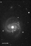 Messier 100 Supernova 2006X