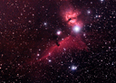 Horsehead and Flame Nebulae