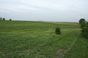 FirstCutting